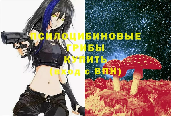 PSILOCYBIN Окуловка